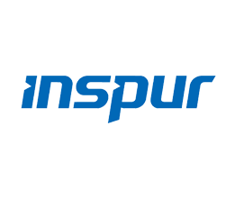 inspur